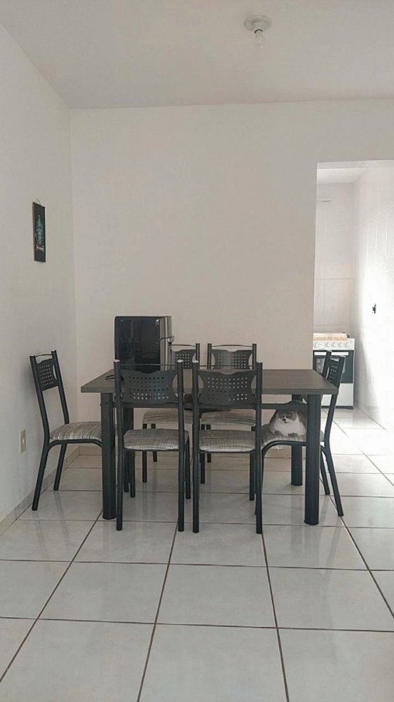 Apartamento - Venda - Santa Rita - Sarzedo - MG